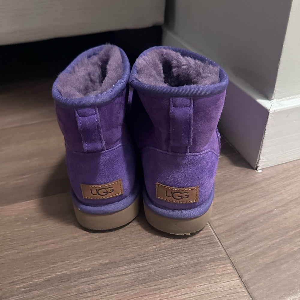 purple low uggs